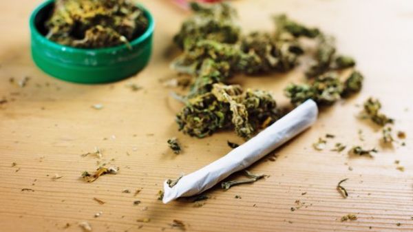Légalisation de la marijuana : une proposition de loi, pour la création d'une Société d'exploitation du Cannabis, déposée ce jeudi