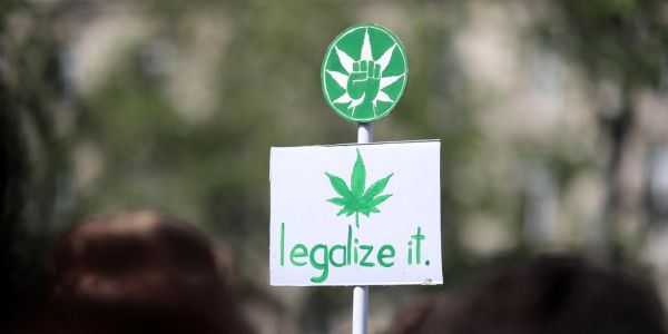 Nouvelle offensive en faveur de la légalisation du cannabis