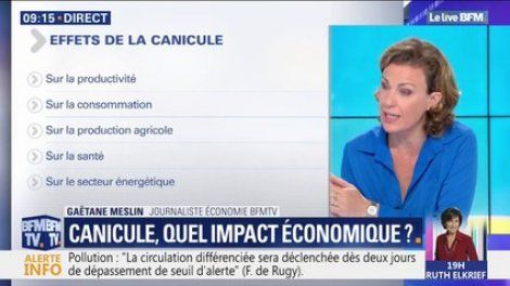 Quel impact la canicule pourrait-elle avoir sur l'économie française?