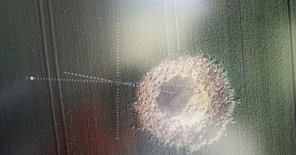 Une bombe de la Seconde Guerre mondiale explose dans un champ en Allemagne