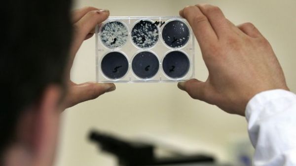 Une chercheuse de l'Inra meurt après avoir contracté la maladie de la vache folle