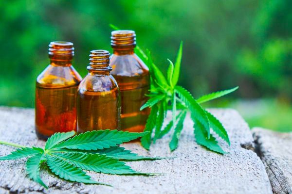 Une recherche montre les propriétés antibiotiques du CBD