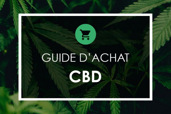 Guide d'achat CBD : Quel produit Cannabidiol choisir? - CBD Nation