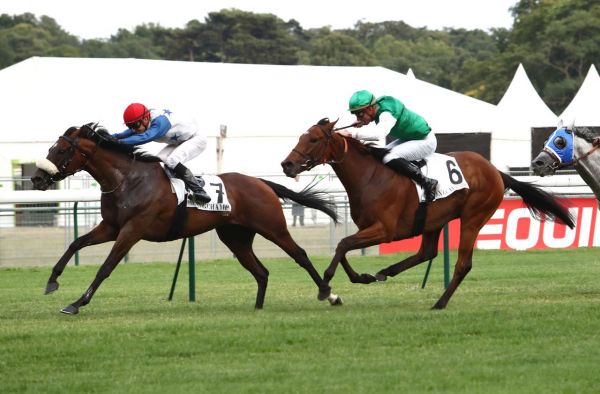 PMU - Arrivée du quinté du jeudi 11 juillet à ParisLongchamp : Bid Adieu résiste à Vilaro