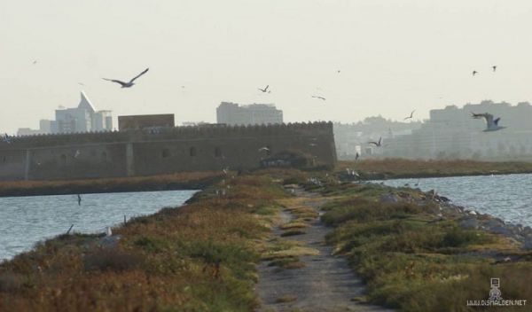 Île Chikly : La France n’est concernée par aucun projet d'aménagement de la réserve naturelle tunisienne