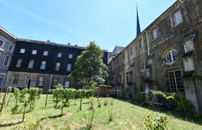 L'origine du monde... des arts