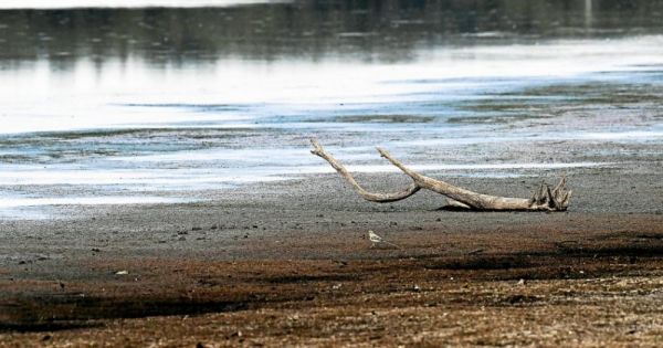 Canicule. Déjà de lourdes conséquences