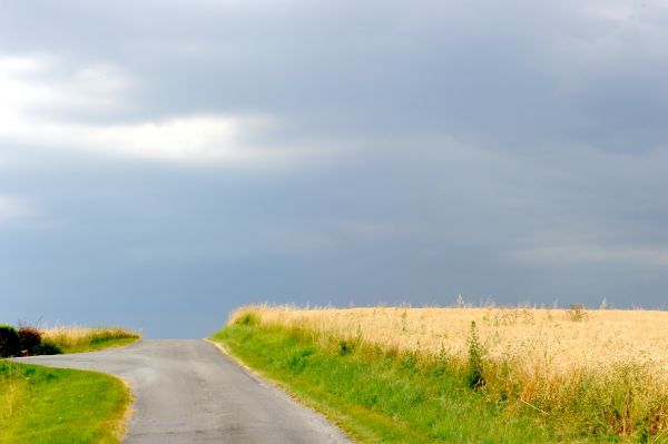 De l'expérience du vieux monde par le nouveau