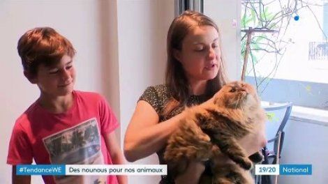 Le pet-sitting, un moyen de lutter contre l'abandon des animaux domestiques