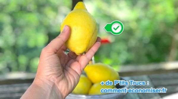 12 Utilisations Du Citron Qui Vont Vous Faciliter La Vie.