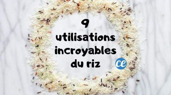 9 Utilisations Surprenantes DU RIZ Que Personnes Ne Connaît.
