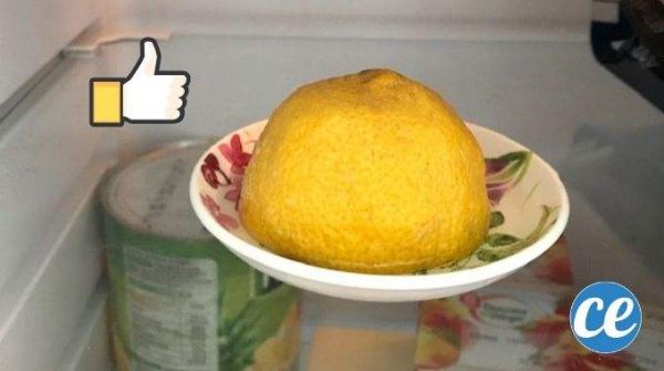 Mon Secret Pour Conserver Un Demi-Citron Pendant DES SEMAINES !