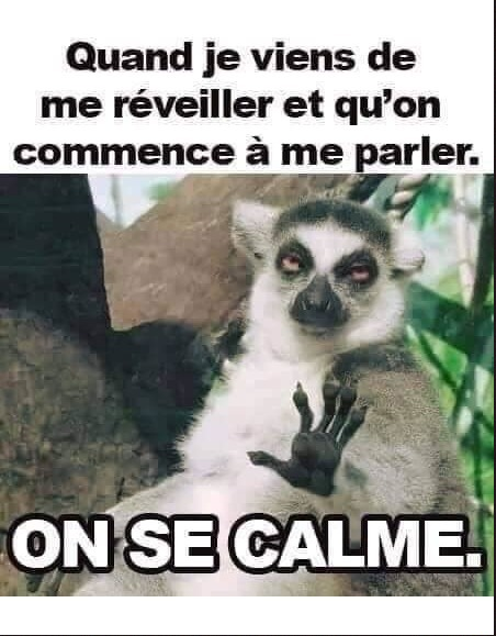 Image drôle du jour (Quand je viens de me réveiller...)