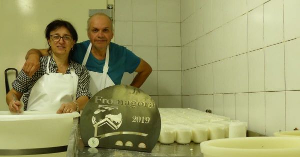 Trois médailles pour les fromages de chèvre de la ferme des Écrins