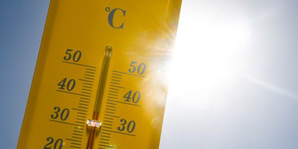 Climat : Les 5 dernières années devraient être les plus chaudes jamais enregistrées selon l'ONU
