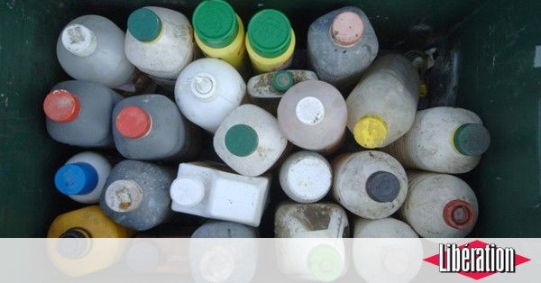 Antipuces, antimoustiques... les pesticides sont massivement utilisés dans les maisons