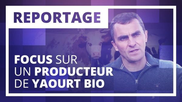 Reportage : Focus sur un producteur de Yaourt bio