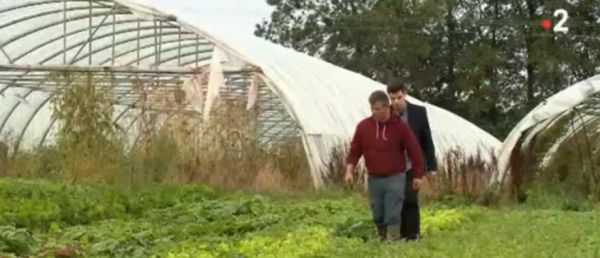 L'incendie de l'usine Lubrizol a causé aux agriculteurs un préjudice global estimé "entre 40 et 50 millions" d'euros, a indiqué le ministre de l'Agriculture