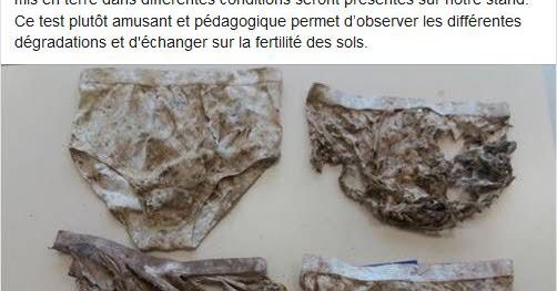 Foire de Poussay : le test "culotté" de la chambre d'agriculture