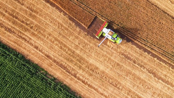 La France a-t-elle vraiment "l'agriculture la plus durable du monde depuis trois ans", comme l'assure Didier Guillaume ?