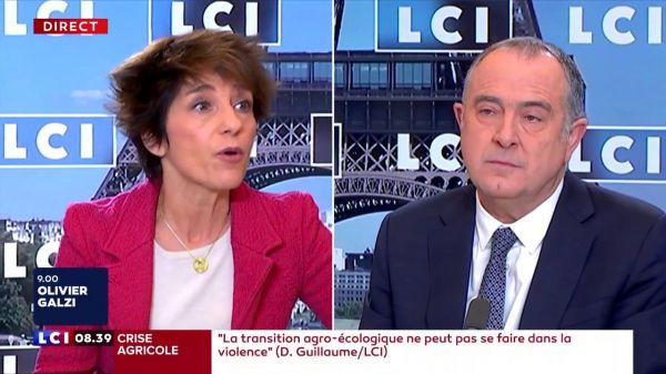 Bœuf à la sauce Ceta : le ministre de l'Agriculture dit-il vrai ?