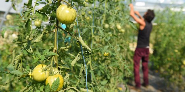 Agribashing : « Le sujet du bio est devenu une priorité »