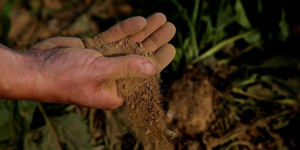Agribashing : « Les changements que connaît l'agriculture dépassent largement les intérêts des exploitants »