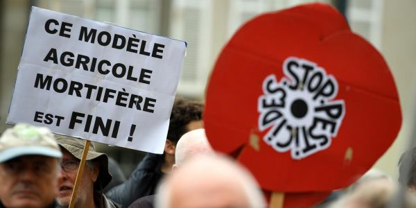 Agribashing : « Sortir des pesticides est bien un choix de société »