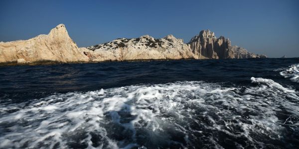 Le parc national des Calanques demande 450 000 euros contre des braconniers pour préjudice écologique