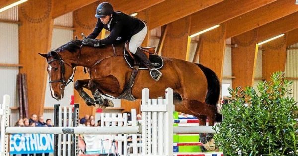 Morlaix Indoor Jumping. Croguennoc devant Cadet