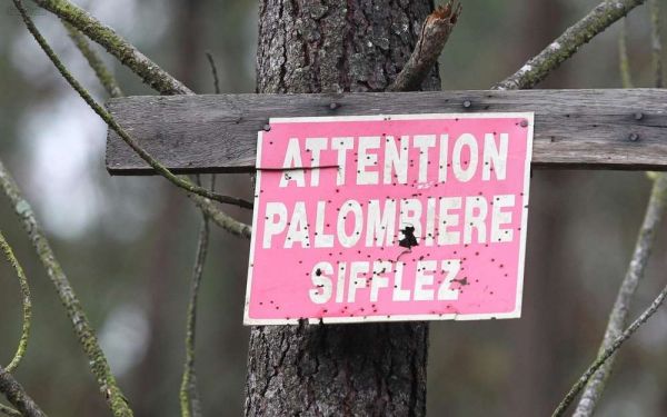 Dordogne : un chasseur décède dans une palombière