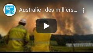 Australie : des milliers de pompiers mobilisés, les incendies se rapprochent de Sydney