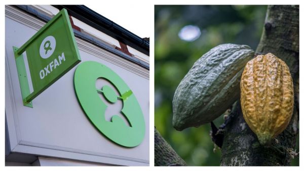 "Pas de droits, pas de chocolat !": Oxfam veut un commerce du cacao plus équitable et écologique que le "chocolonialisme" actuel