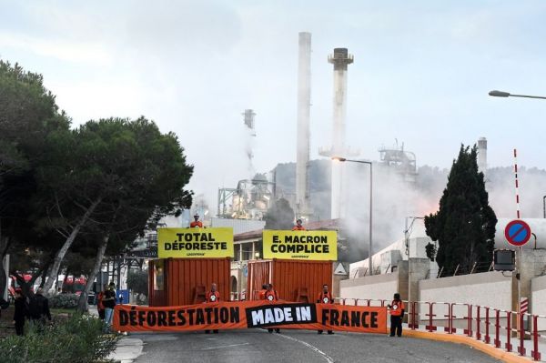 L'Assemblée maintient l'huile de palme parmi les biocarburants, les écologistes furieux