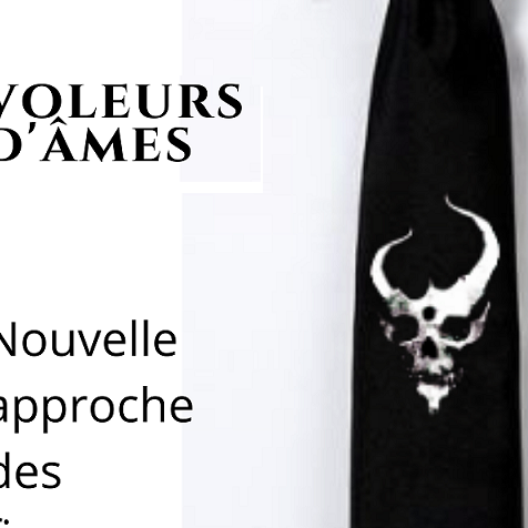 « Voleurs d'âmes », mon livre