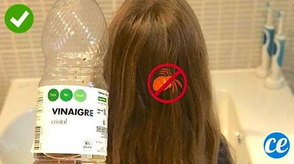 Vinaigre Blanc : Le Remède Redoutable Que Tous Les Poux Détestent !