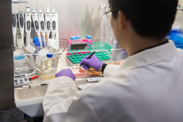 Percée dans le traitement d'une forme de leucémie