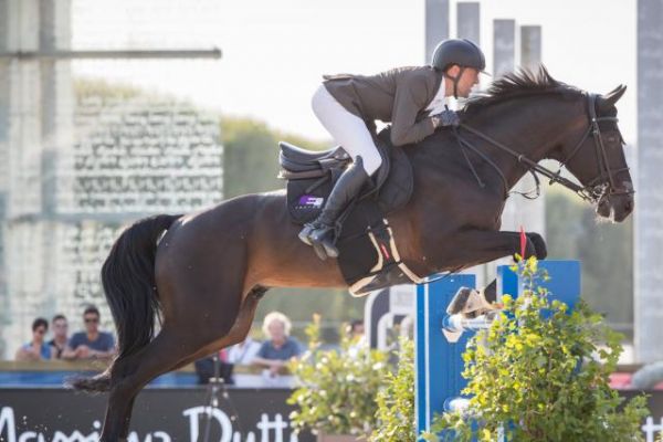 Equitation - saut - Le mercato des chevaux de concours s'enflamme