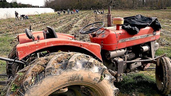 Aude : filière agricole recherche apprentis désespérément