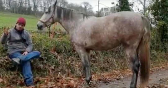 Gaspard Koenig, à cheval sur les traces de Montaigne !