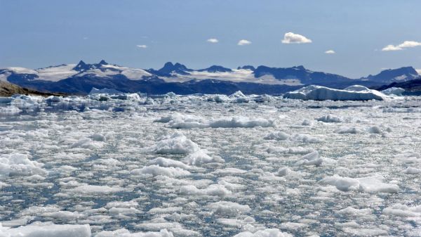 Réchauffement climatique : cette année a été la deuxième plus chaude depuis 1900 dans l'Arctique