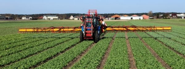 Pesticides : Il y a urgence, la santé publique est en jeu !