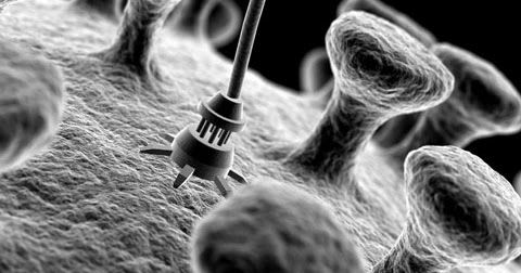 Nanoparticules dans les vaccins