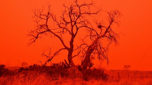 Open d'Australie : les qualifications retardées à cause des fumées des incendies