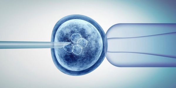 Loi de bioéthique : « Nous ne voulons pas d'une humanité génétiquement modifiée ! »