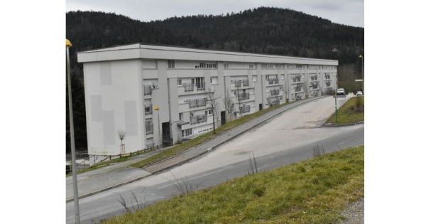 La vente de voiture dégénère : il finit en caleçon, ligoté dans une forêt