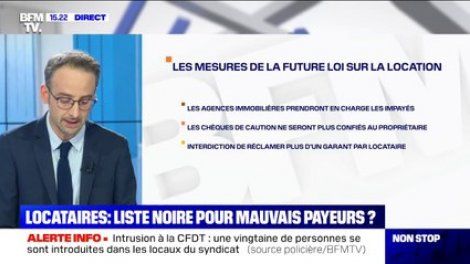 En quoi consisterait le fichier des mauvais payeurs que veut mettre en place la FNAIM ?