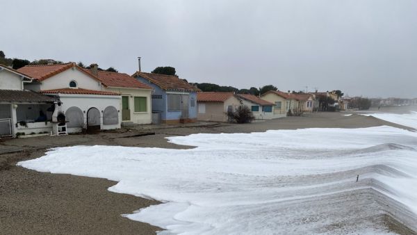 Pyrénées-Orientales : la Côte Vermeille se prépare à affronter la tempête Gloria