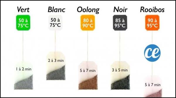 Combien De Temps Faut-Il Infuser le Thé (Et à Quelle Température) ?