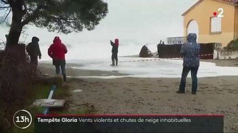 Tempête Gloria - Les Pyrénées-Orientales restent en vigilance orange - 1.000 foyers toujours sans électricité à la mi-journée - Vidéo